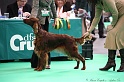 Crufts2011 370